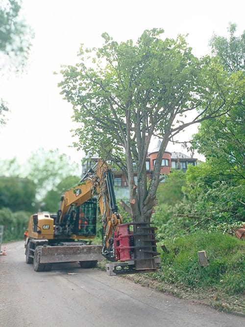 7 Belako Lanak, Servicio de Desbroce de jardines