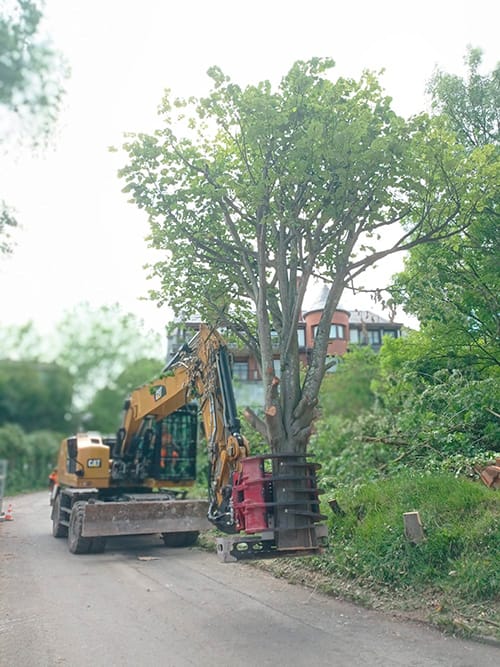 Belako Lanak, Servicio de Desbroce de jardines