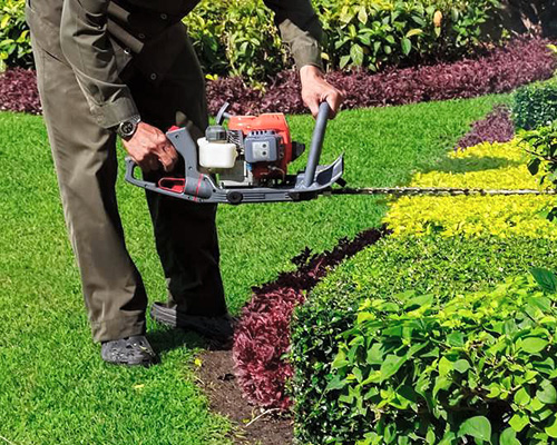 poda_setos Belako Lanak, Servicio de Desbroce de jardines